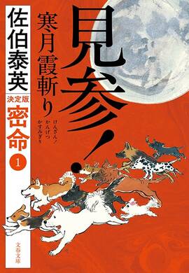 密命 見参!寒月霞斬り