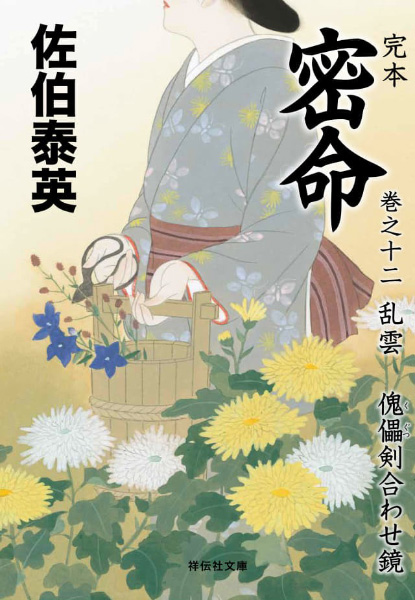 乱雲：傀儡剣合わせ鏡の表紙