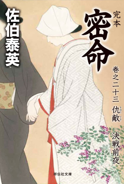 仇敵：決戦前夜の表紙