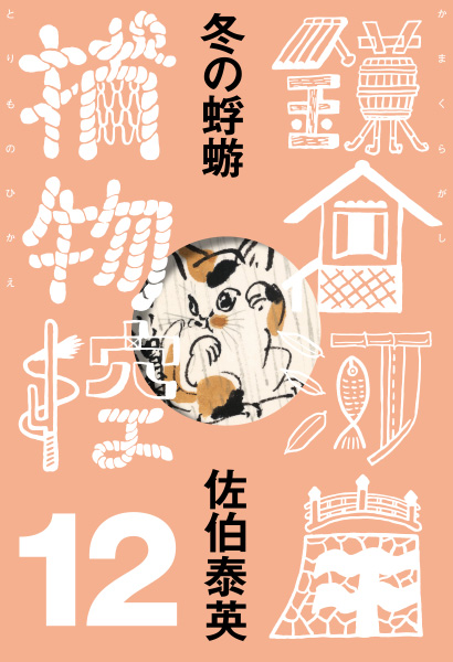 冬の蜉蝣の表紙