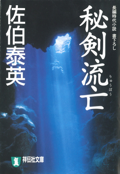 秘剣流亡の表紙