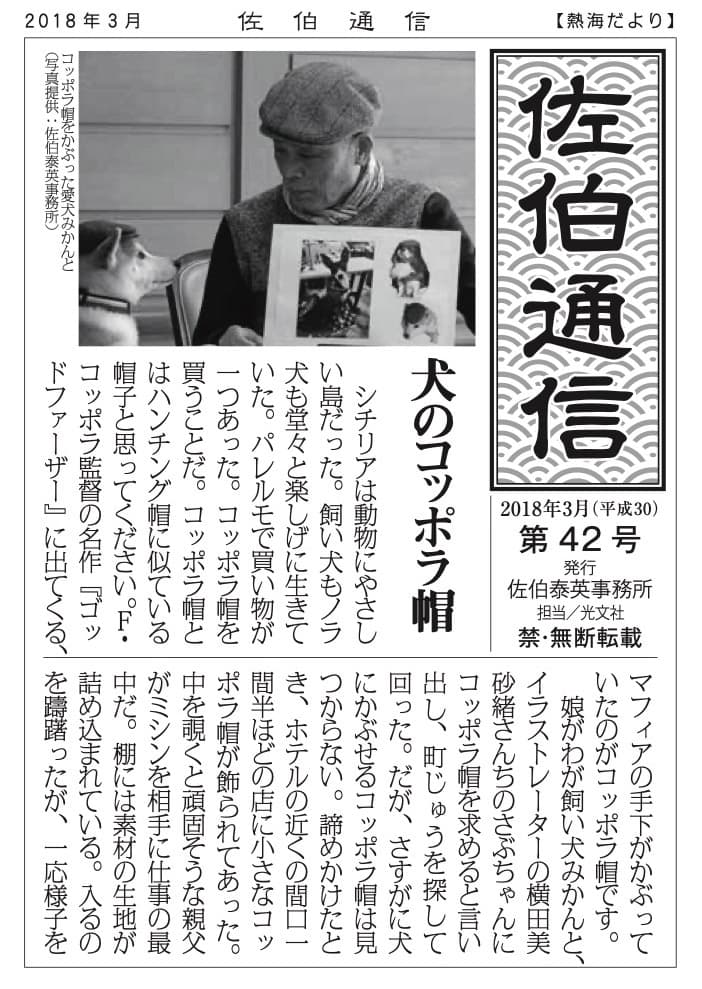 犬のコッポラ帽